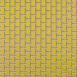 Money Talks Green by Carole Fabric