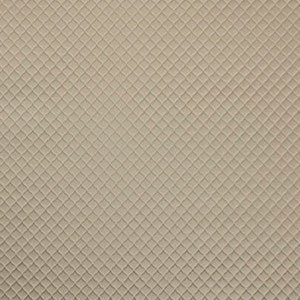 Contemplation Mocha by Carole Fabric