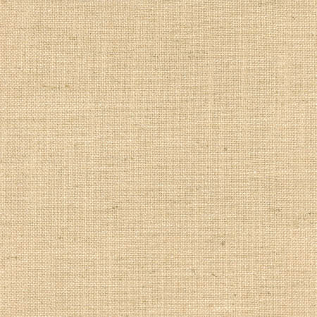 Mailbox Hazelnut by Carole Designer Fabric Abode 45% Viscose, 35% Polyester, 20% Linen China 50,000 Wyzenbeek Double Rubs None 57" - Swanky Fabrics -