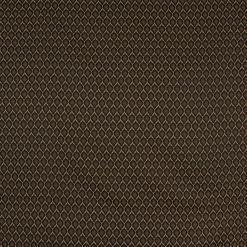 Girls Night Out Onyx by Carole Fabric Winner'S Circle 100% Polyester Turkey Passes 15,000 Double Rubs Wyzenbeek Horizontal: 15 and Vertical: 25 55 - Fabric Carolina -