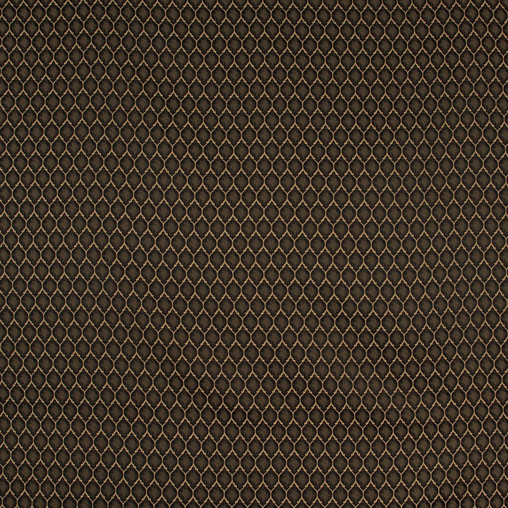Girls Night Out Onyx by Carole Fabric Winner'S Circle 100% Polyester Turkey Passes 15,000 Double Rubs Wyzenbeek Horizontal: 15 and Vertical: 25 55 - Fabric Carolina -