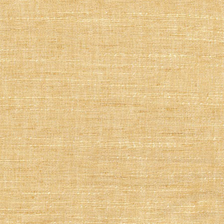 Training Day Canary by Carole Fabric Sunbaked 92% Polyester, 8% Cotton INDIA  None 54"  - Fabric Carolina -