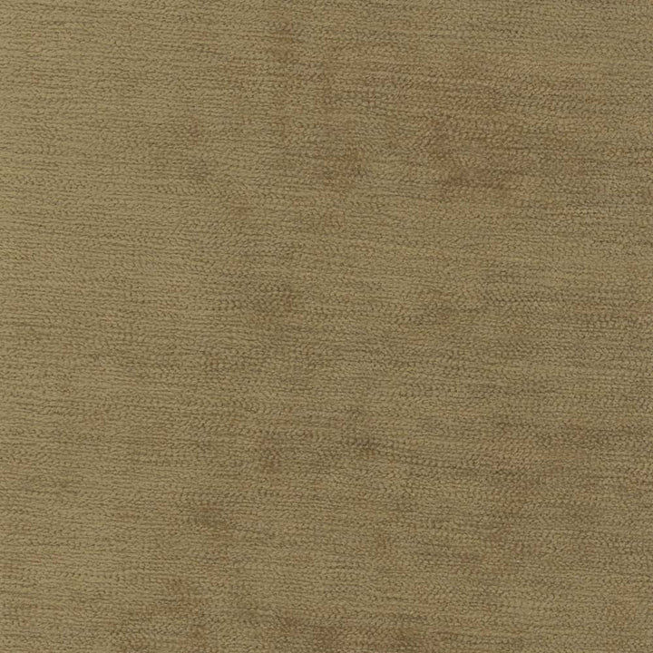 Savoir Faire Antique by Carole Fabric Temptress 100% Polyester India Passes 50,000 Double Rubs Wyzenbeek Horizontal: 0 and Vertical: 0 55 - Fabric Carolina -