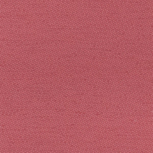 Fact Finder Lipstick by Carole Fabric