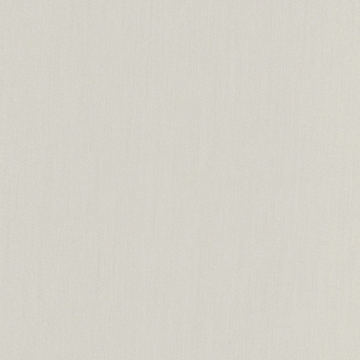 Comfort Cement by Carole Fabric Daydreaming 100% Cotton India Passes 21,000 Double Rubs Wyzenbeek Horizontal: 0 and Vertical: 0 54 - Fabric Carolina -