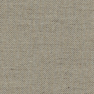 Personal Space Silver by Carole Fabric