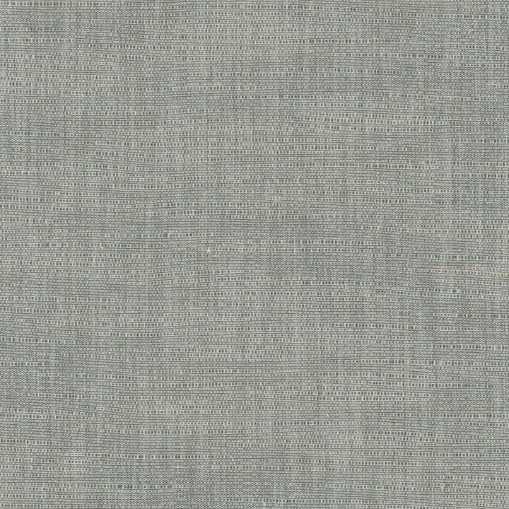 Athlete Grey by Carole Fabric Pewter 60% Cotton, 40% Polyester India Passes 50,000 Double Rubs Wyzenbeek Horizontal: 0 and Vertical: 0 55 - Fabric Carolina -