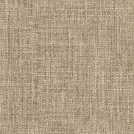 Intention Sahara by Carole Fabric Head Start 100% Polyester Taiwan 25,000 Wyzenbeek Double Rubs None 54"  - Fabric Carolina -