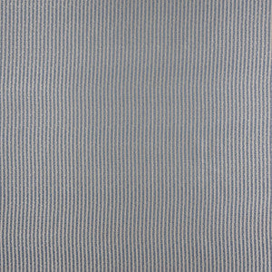Strive To Be Slate by Carole Fabric