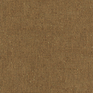 Fitz Mocha by Carole Fabric