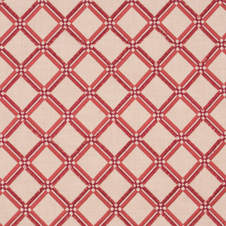 Diamonds Within Coral by Carole Fabric Azalea 42% Cotton, 42% Viscose, 16% Polyester India Passes 20,000 Double Rubs Wyzenbeek Horizontal: 4.5 and Vertical: 4.5 53.75 - Fabric Carolina -