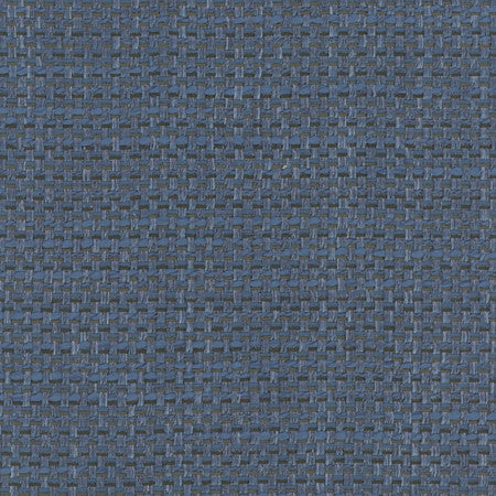 Endurance Deep Sea by Carole Fabric Head Start 100% Polyester IFR Hybrid India  None 54"  - Fabric Carolina -
