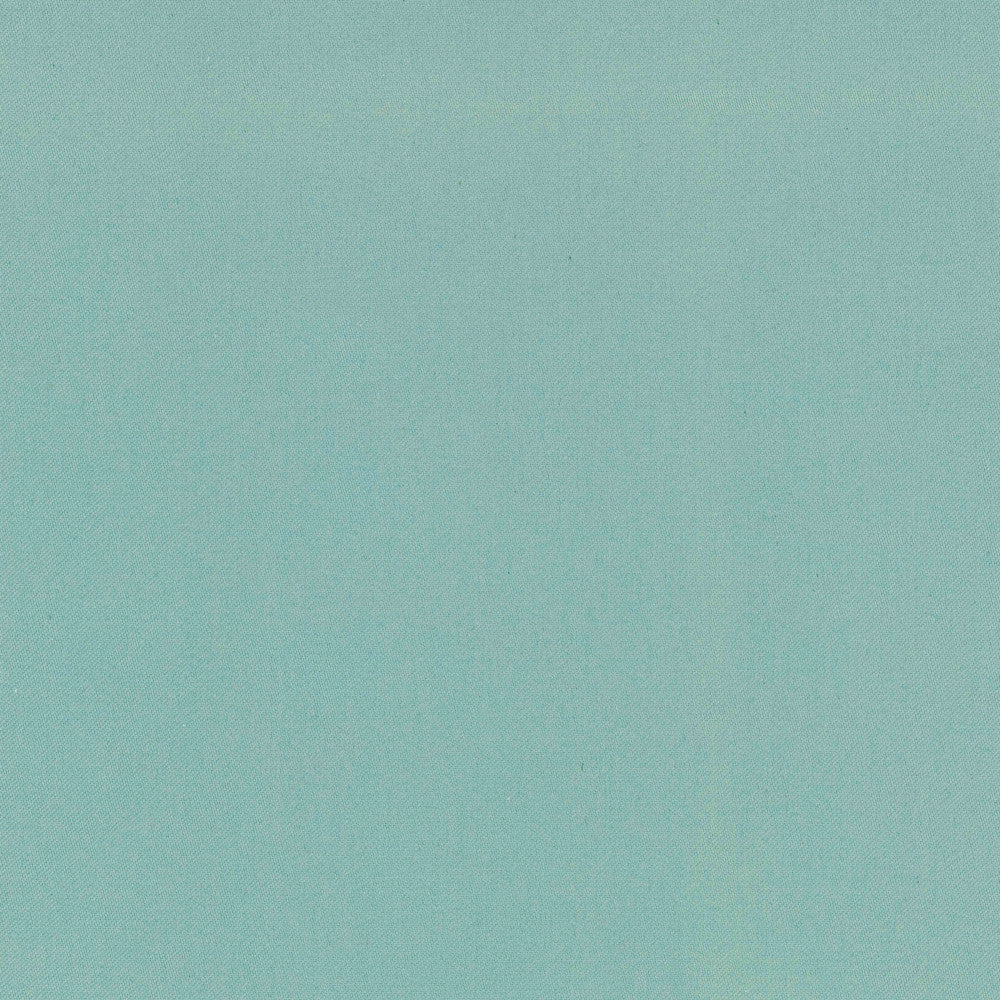 Comfort Azure by Carole Fabric Daydreaming 100% Cotton India Passes 21,000 Double Rubs Wyzenbeek Horizontal: 0 and Vertical: 0 54 - Fabric Carolina -