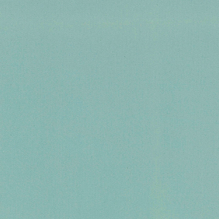 Comfort Azure by Carole Fabric Daydreaming 100% Cotton India Passes 21,000 Double Rubs Wyzenbeek Horizontal: 0 and Vertical: 0 54 - Fabric Carolina -