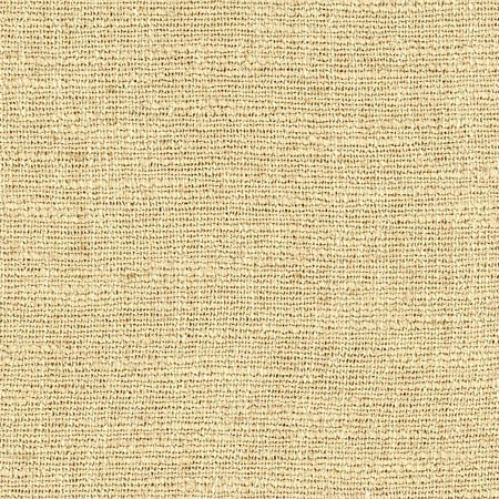 Warden Cornhusk by Carole Fabric Sunbaked 90% Polyester, 10% Linen CHINA  None 55"  - Fabric Carolina -