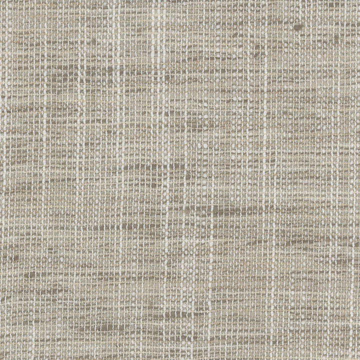 Take Care Ash by Carole Designer Fabric Come Home 100% Polyester India N/A Horizontal: 0 and Vertical: 0 54 - Swanky Fabrics -
