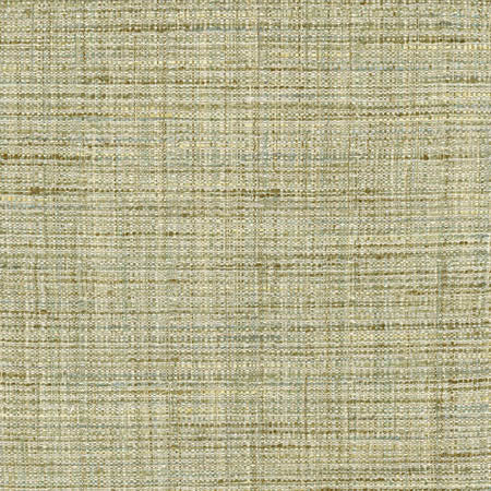Main Chance Grassland by Carole Designer Fabric Abode 100% Polyester India 30,000 Wyzenbeek Double Rubs None 56" - Swanky Fabrics -