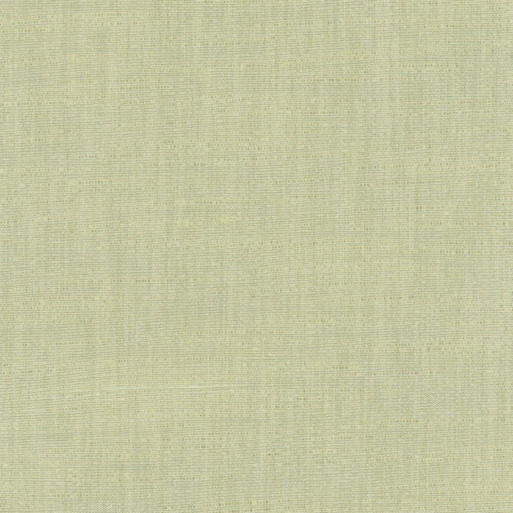 Athlete Sage by Carole Fabric Celadon 60% Cotton, 40% Polyester India Passes 50,000 Double Rubs Wyzenbeek Horizontal: 0 and Vertical: 0 55 - Fabric Carolina -