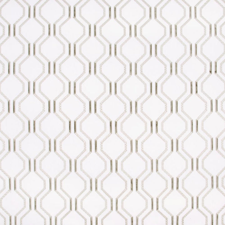 Dream Date Marble by Carole Designer Fabric Silver Fox 52% Cotton, 48% Polyester India Passes 30,000 Double Rubs Wyzenbeek Horizontal: 625 and Vertical: 625 52 - Swanky Fabrics -