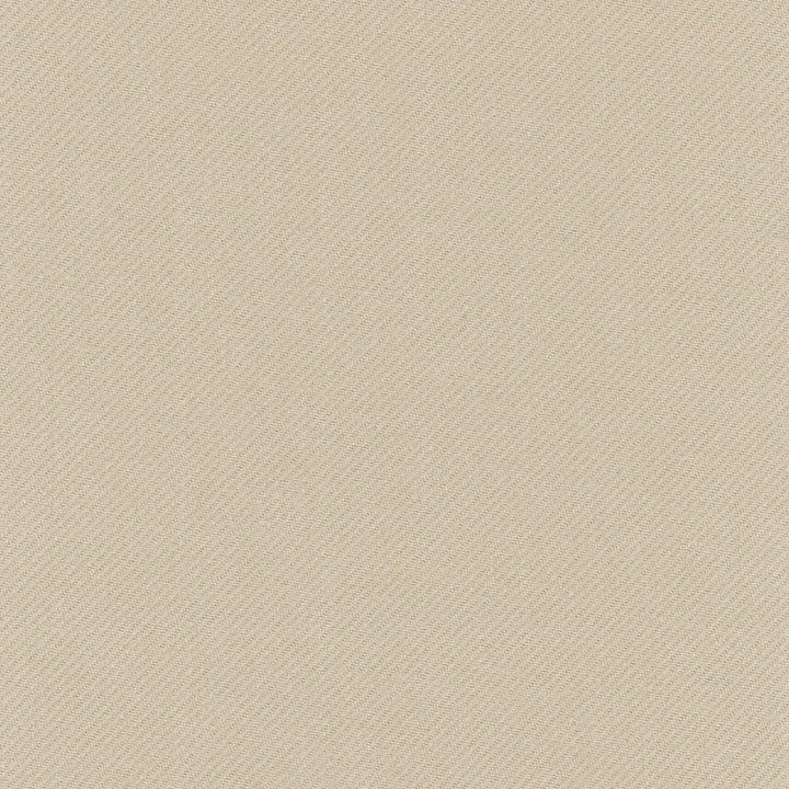 Reaction Putty by Carole Fabric Opal 100% Polyester Turkey N/A Horizontal: 0 and Vertical: 0 59 - Fabric Carolina -
