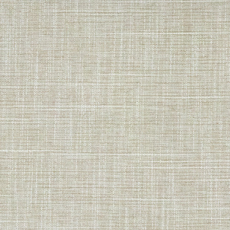 Big Thinker Oyster by Carole Fabric Power Play 100% Polyester N/A None 55" - Fabric Carolina -