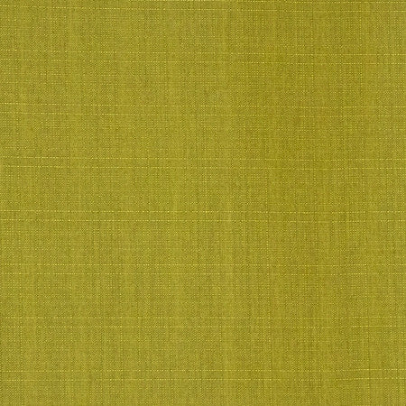 Intention Pickle by Carole Fabric Power Play 100% Polyester 25,000 Wyzenbeek Double Rubs None 54" - Fabric Carolina -