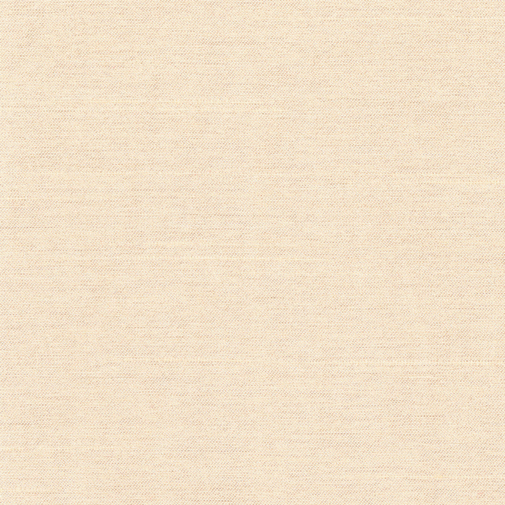 Northwind Dune by Carole Fabric New Northwind Iv 100% Polyester India Passes 9,000 Double Rubs Wyzenbeek Horizontal: 0 and Vertical: 0 54 - Fabric Carolina -