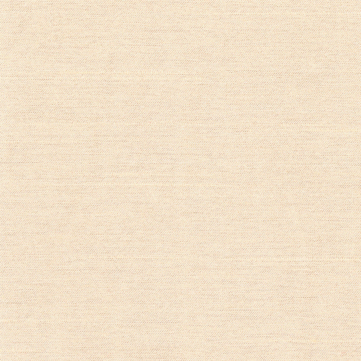 Northwind Dune by Carole Fabric New Northwind Iv 100% Polyester India Passes 9,000 Double Rubs Wyzenbeek Horizontal: 0 and Vertical: 0 54 - Fabric Carolina -