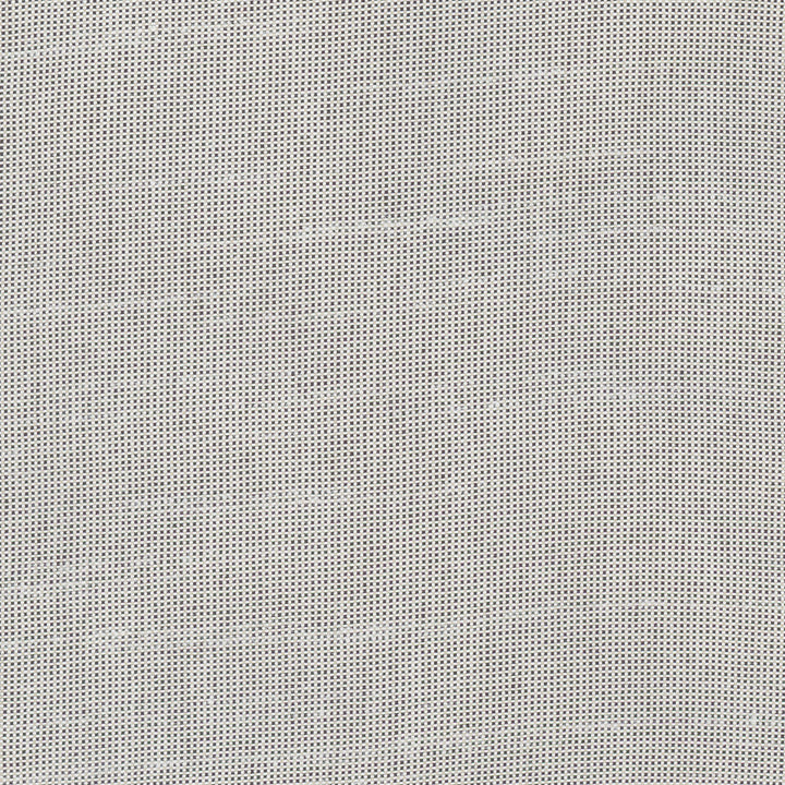 Fleeting Flint by Carole Fabric Royale 100% Polyester India Passes 50,000 Double Rubs Wyzenbeek Horizontal: 0 and Vertical: 0 54 - Fabric Carolina -