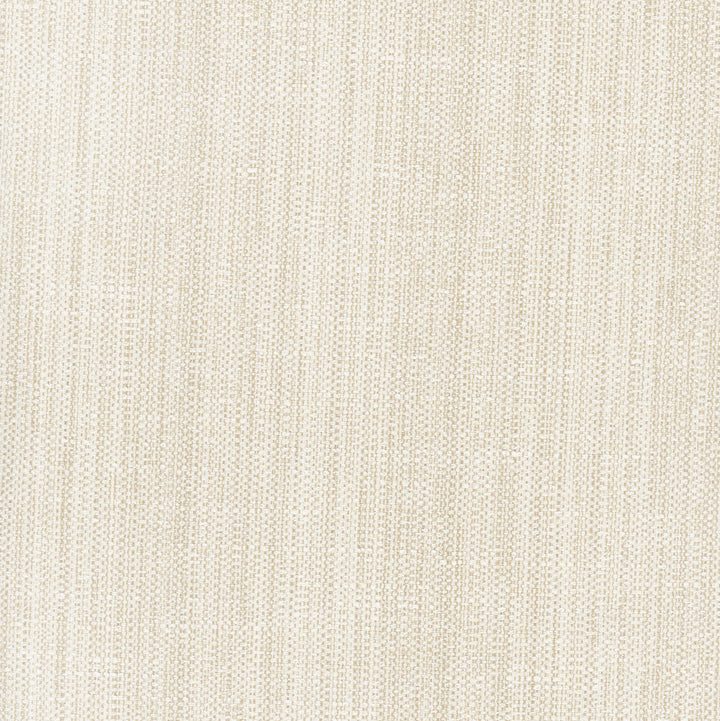 Rock Wall Raffia by Carole Fabric Opal 83% Polyester, 12% Cotton, 5% Rayon India N/A Horizontal: 0 and Vertical: 0 55 - Fabric Carolina -
