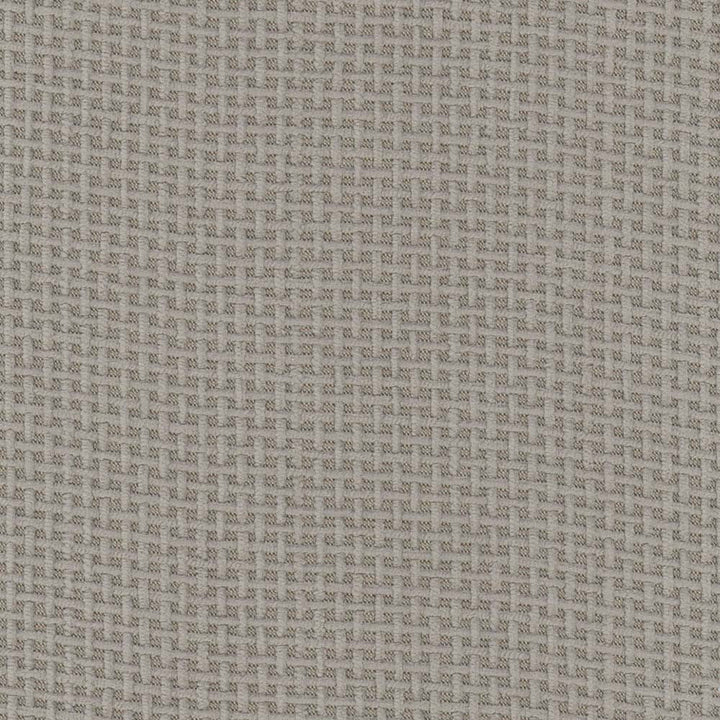 Smashing Charcoal by Carole Fabric Pewter 100% Polyester Turkey N/A Horizontal: 0 and Vertical: 0 59 - Fabric Carolina -