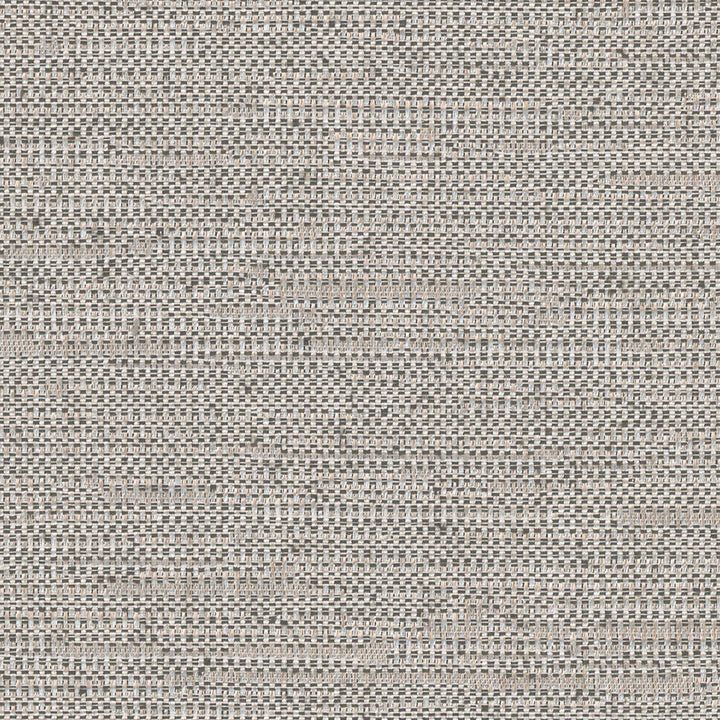 Cliff Top Urban Grey by Carole Fabric Excursion 66% Polyester, 34% Cotton India 36,000 Wyzenbeek Double Rubs Horizontal: 0 and Vertical: 0 56 - Fabric Carolina -