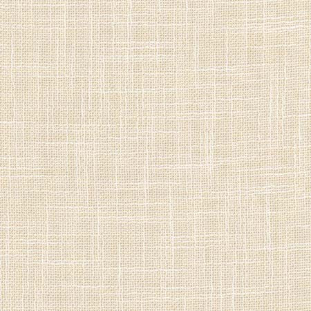 As Always Parchment by Carole Designer Fabric See It Through 100% Polyester Turkey N/A None 55.5" - Swanky Fabrics -
