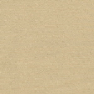 Rumi Camel by Carole Fabric