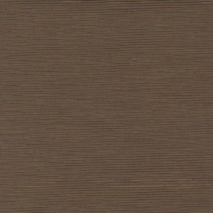 First Novel Driftwood by Carole Fabric Stationery 72% Rayon, 28% Polyester China Passes 30,000 Double Rubs Wyzenbeek Horizontal: 0 and Vertical: 0 55 - Fabric Carolina -