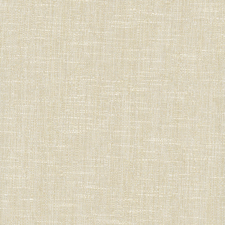 Hard Knocks Bamboo by Carole Fabric Opal 69% Polyester, 31% Cotton India Passes 30,000 Double Rubs Wyzenbeek Horizontal: 0 and Vertical: 0 555 - Fabric Carolina -