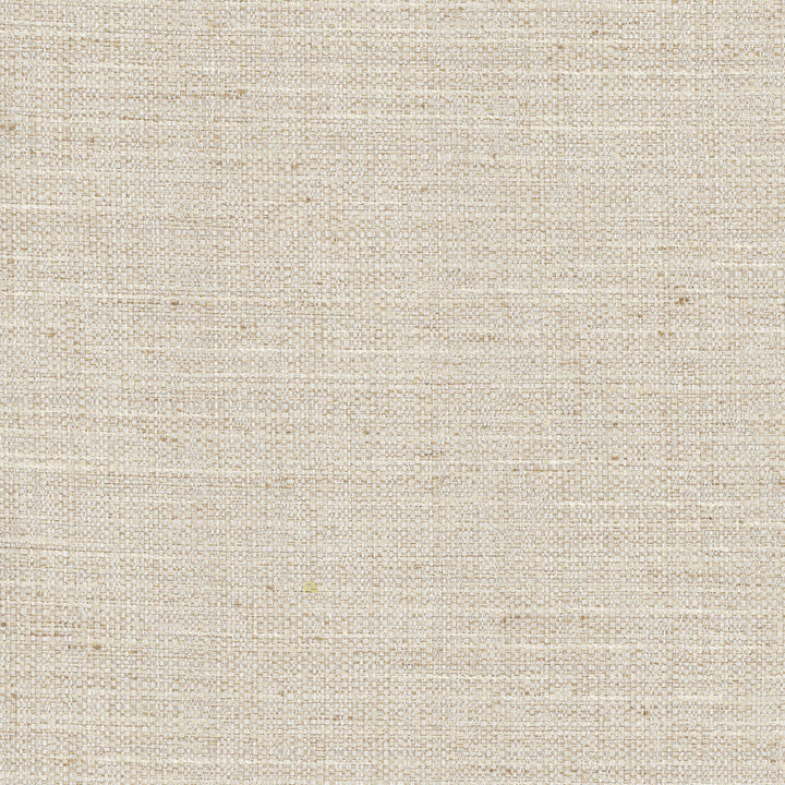 Rock Wall Linen by Carole Fabric Opal 83% Polyester, 12% Cotton, 5% Rayon India N/A Horizontal: 0 and Vertical: 0 55 - Fabric Carolina -