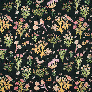 Lost Creek Ebony by Carole Fabric