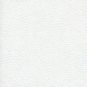 Twinkly Stars Pearl by Carole Fabric