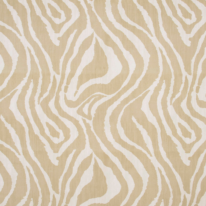 Zebra Sable by Carole Fabric Jungle Safari 100% Cotton Spain Passes 18,000 Circular Rubs Martindale Horizontal: 27 and Vertical: 25 54 - Fabric Carolina -