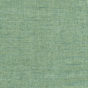Training Day Aqua by Carole Fabric