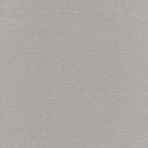 Warm Up Silver by Carole Fabric