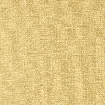 Regal Touch Camel by Carole Designer Fabric Touch Of Luxury 100% Polyester Turkey 15,000 Wyzenbeek Double Rubs Horizontal: None and Vertical: None 55" - Swanky Fabrics -