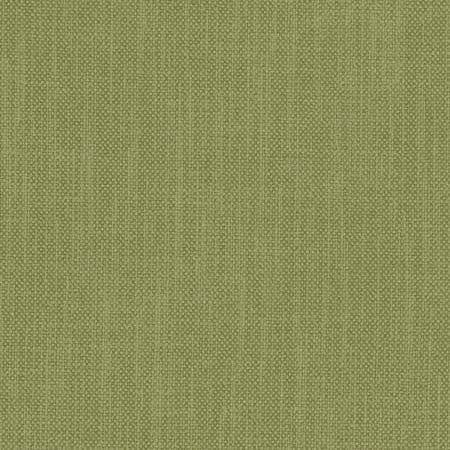 Liberty Pine by Carole Designer Fabric Liberty II 100% Polyester India None 54" - Swanky Fabrics -