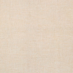 Nash Canvas by Carole Fabric