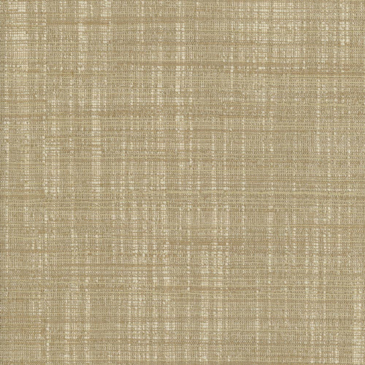 Totally Relaxed Sand by Carole Fabric Come Home 90% Polyester, 10% Cotton India N/A Horizontal: 0 and Vertical: 0 54 - Fabric Carolina -