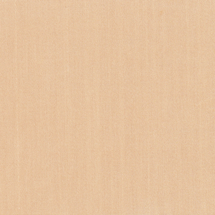 Tempt Apricot by Carole Fabric Royale 100% IFR Polyester India Passes 45,000 Double Rubs Wyzenbeek Horizontal: 0 and Vertical: 0 54 - Fabric Carolina -