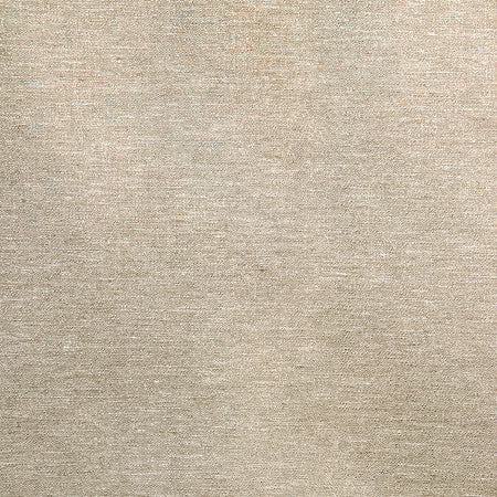 Admiration Stone by Carole Fabric Best Dressed 83% Polyester, 17% Cotton 15,000 Wyzenbeek Double Rubs None 54" - Fabric Carolina -