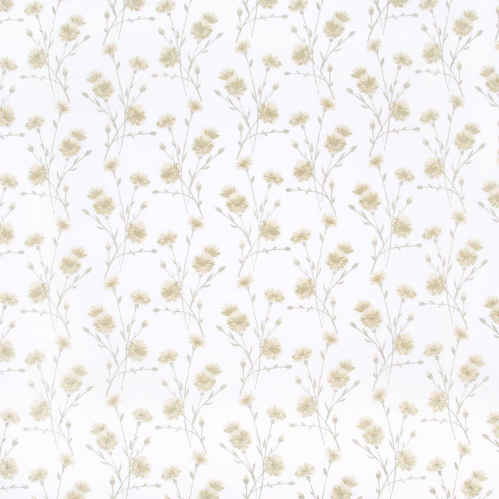 Place To Rest Chamomile by Carole Fabric Coconut Cream 52% Cotton, 48% Polyester India Passes 30,000 Double Rubs Wyzenbeek Horizontal: 10375 and Vertical: 925 52 - Fabric Carolina -