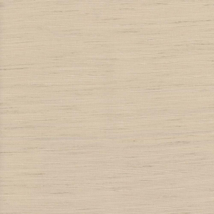 So Far Flax by Carole Fabric Texture Theory 100% Polyester India N/A Horizontal: 0 and Vertical: 0 55 - Fabric Carolina -